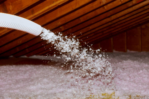 Best Affordable Insulation Services  in Alliance, OH