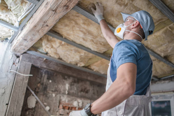 Best Attic Insulation Installation  in Alliance, OH