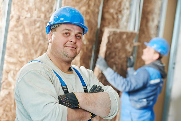 Best Local Insulation Services  in Alliance, OH